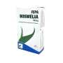 Fepa - Boswelia 700 mg. 40 cápsulas. Fepadiet