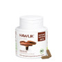 Extracto de Reishi (Ganoderma lucidum) 60cáps. Hawlik