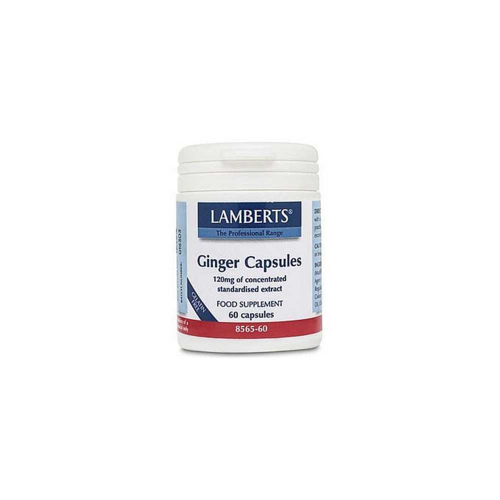 Jengibre 12.000mg Jengibre 12.000mg