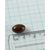 Extracto de Saw Palmetto 320 mg