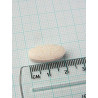 Cimicífuga Racemosa 1.000mg