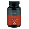 Rodiola 300mg. (Rhodiola rosea) 50 cáps. Terranova