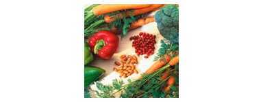 Vitamina A y Betacarotenos Lamberts