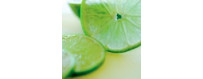 Vitamina C y formulaciones de vitamina C del laboratorio Lamberts