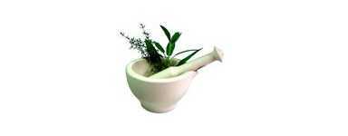 Plantas