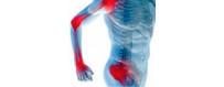 Osteoarticular