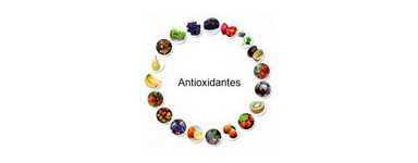 Antioxidantes y Formulaciones de antioxidantes Terranova
