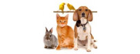 Complementos Alimenticios para Mascotas